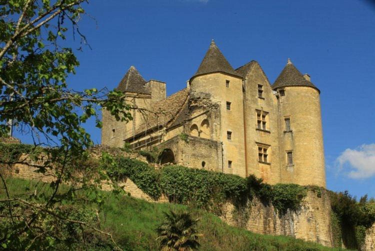 Petite Maison En Pierre Au Coeur Du Perigord Noir Proche De Sarlat Et Rocamadour Salignac Eyvigues エクステリア 写真