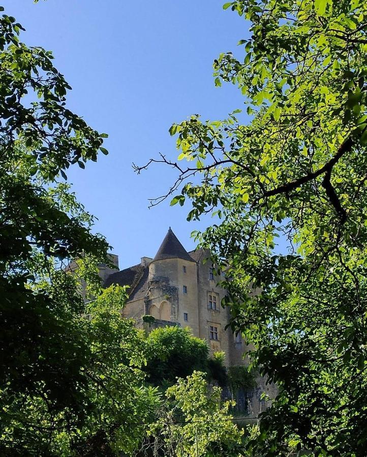 Petite Maison En Pierre Au Coeur Du Perigord Noir Proche De Sarlat Et Rocamadour Salignac Eyvigues エクステリア 写真