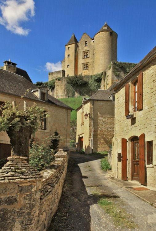 Petite Maison En Pierre Au Coeur Du Perigord Noir Proche De Sarlat Et Rocamadour Salignac Eyvigues エクステリア 写真