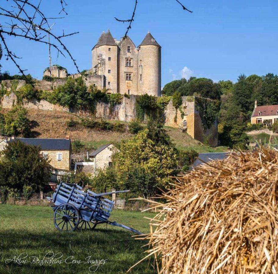 Petite Maison En Pierre Au Coeur Du Perigord Noir Proche De Sarlat Et Rocamadour Salignac Eyvigues エクステリア 写真