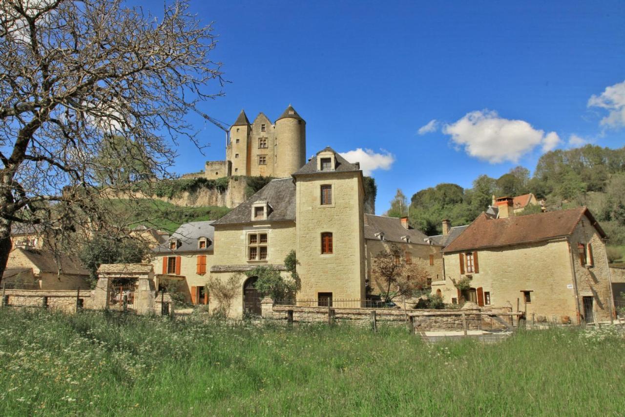 Petite Maison En Pierre Au Coeur Du Perigord Noir Proche De Sarlat Et Rocamadour Salignac Eyvigues エクステリア 写真