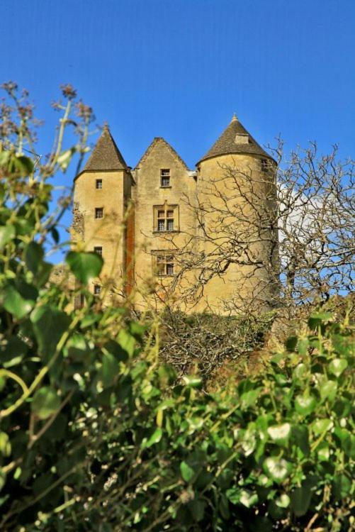 Petite Maison En Pierre Au Coeur Du Perigord Noir Proche De Sarlat Et Rocamadour Salignac Eyvigues エクステリア 写真